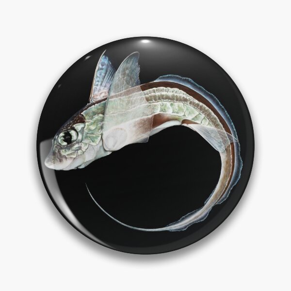 Item preview, Chimaera Ghost Shark designed and sold by Moana Matron Designs.