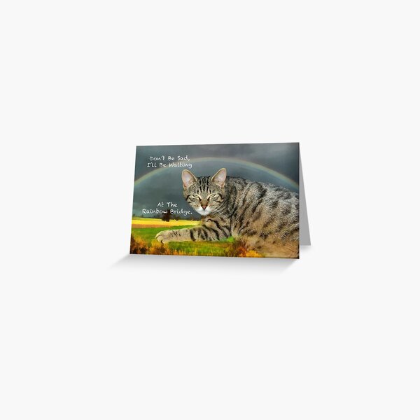 Sympathy for loss of pet cat Greeting Card