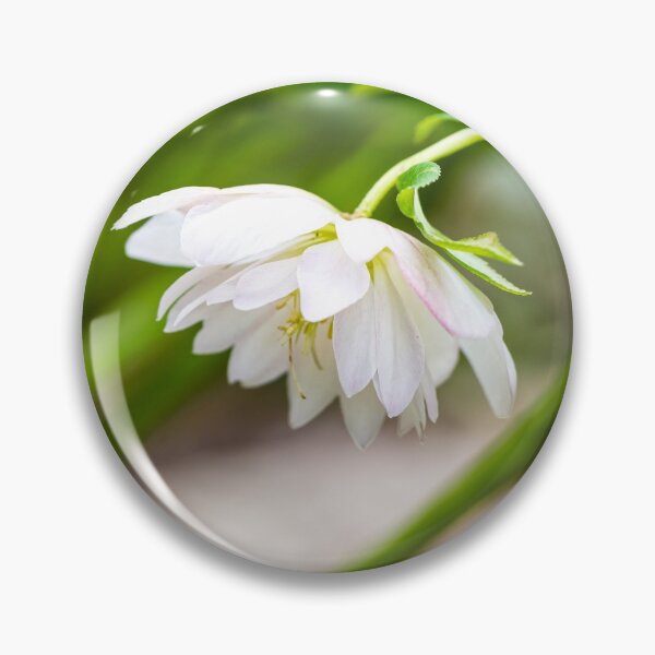 Item preview, White Hellebore designed and sold by mljdwhite.