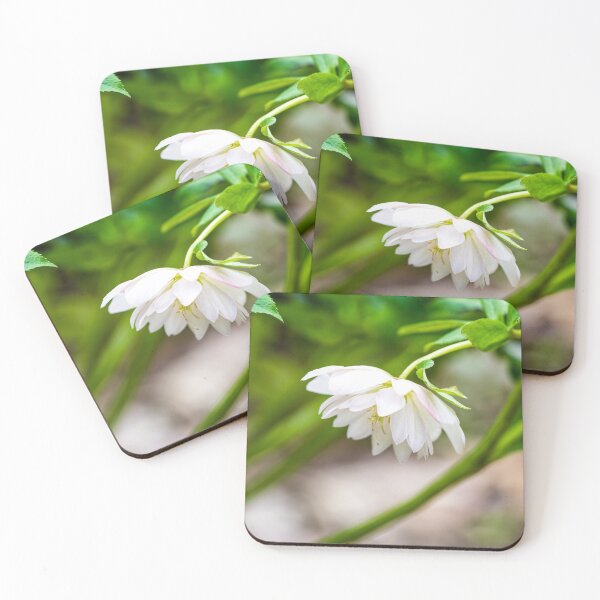 Item preview, White Hellebore designed and sold by mljdwhite.