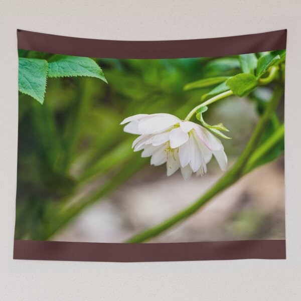 Item preview, White Hellebore designed and sold by mljdwhite.