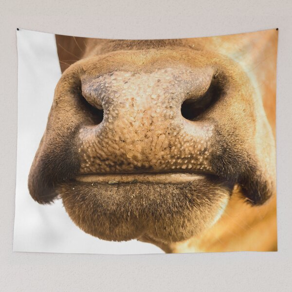 Item preview, Nosey Moo designed and sold by Penny Kittel.
