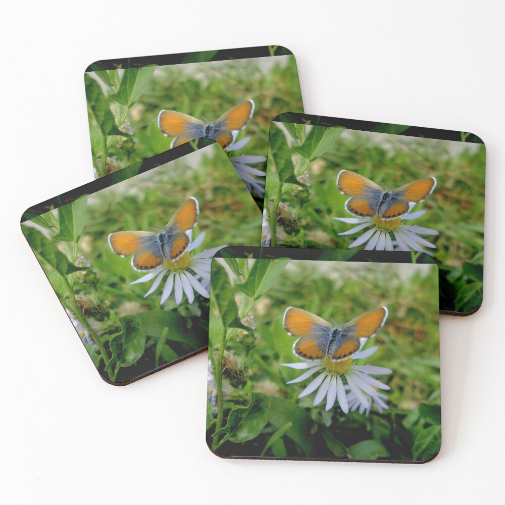Item preview, Coasters (Set of 4) designed and sold by RiffXS.