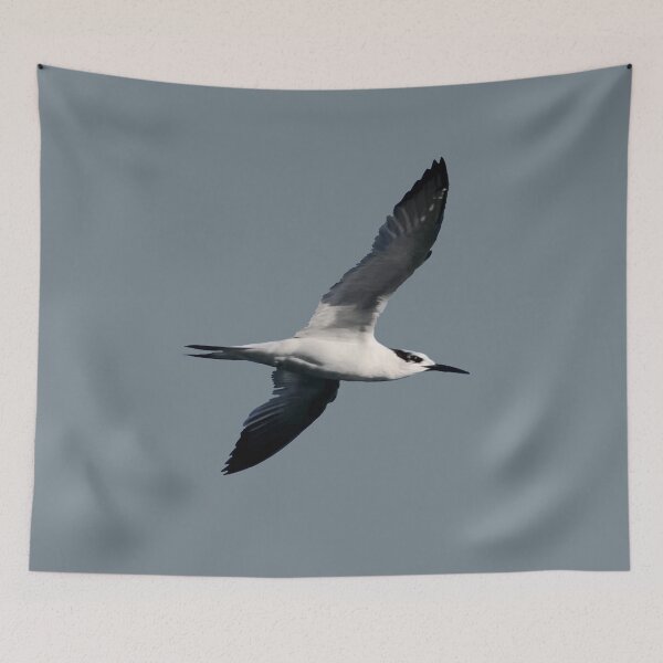 Item preview, Sandwich Tern Seagull Bird In Flight Cut Out  designed and sold by taiche.