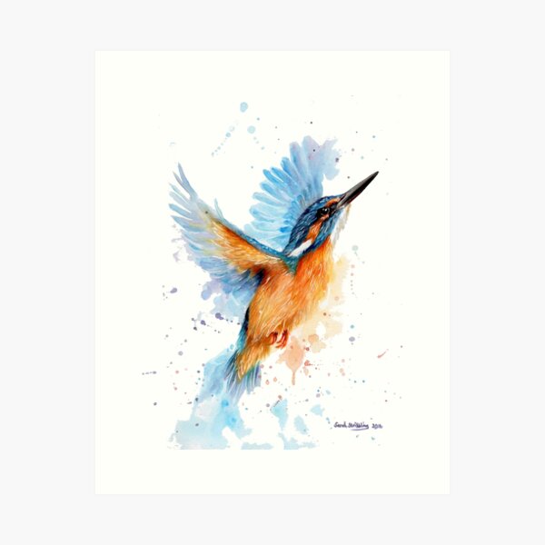 Kingfisher watercolour Art Print