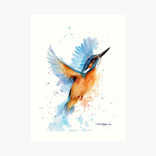 Kingfisher watercolour Art Print