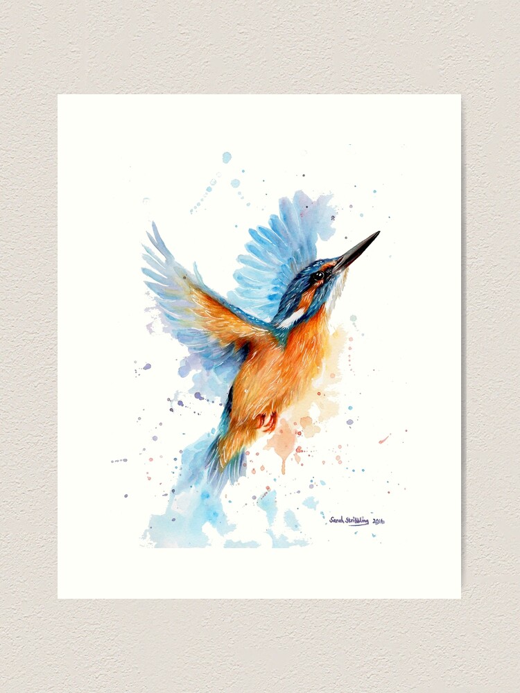 Thumbnail 1 of 3, Art Print, Kingfisher watercolour designed and sold by sarahstribb.
