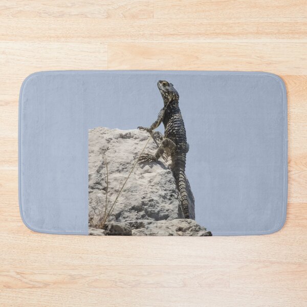 Item preview, Lizard Sunbathing On A Rock Vector designed and sold by taiche.