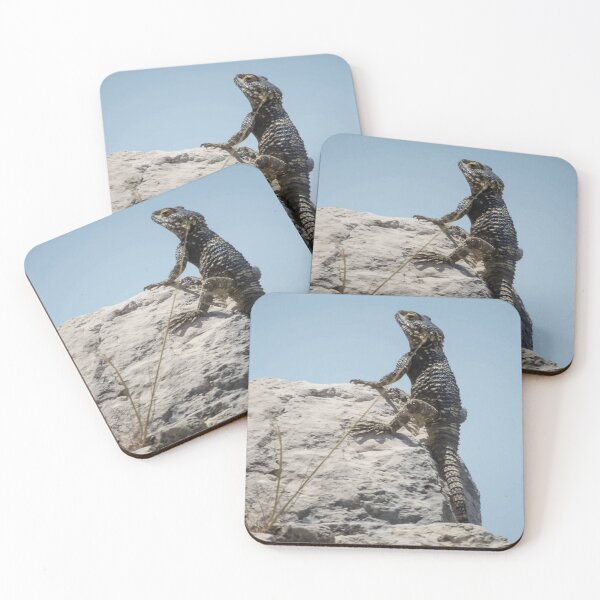Item preview, Lizard Sunbathing On A Rock Vector designed and sold by taiche.