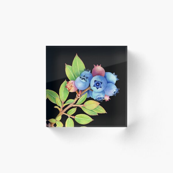 Wild Maine Blueberries Acrylic Block