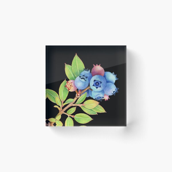 Wild Maine Blueberries Acrylic Block