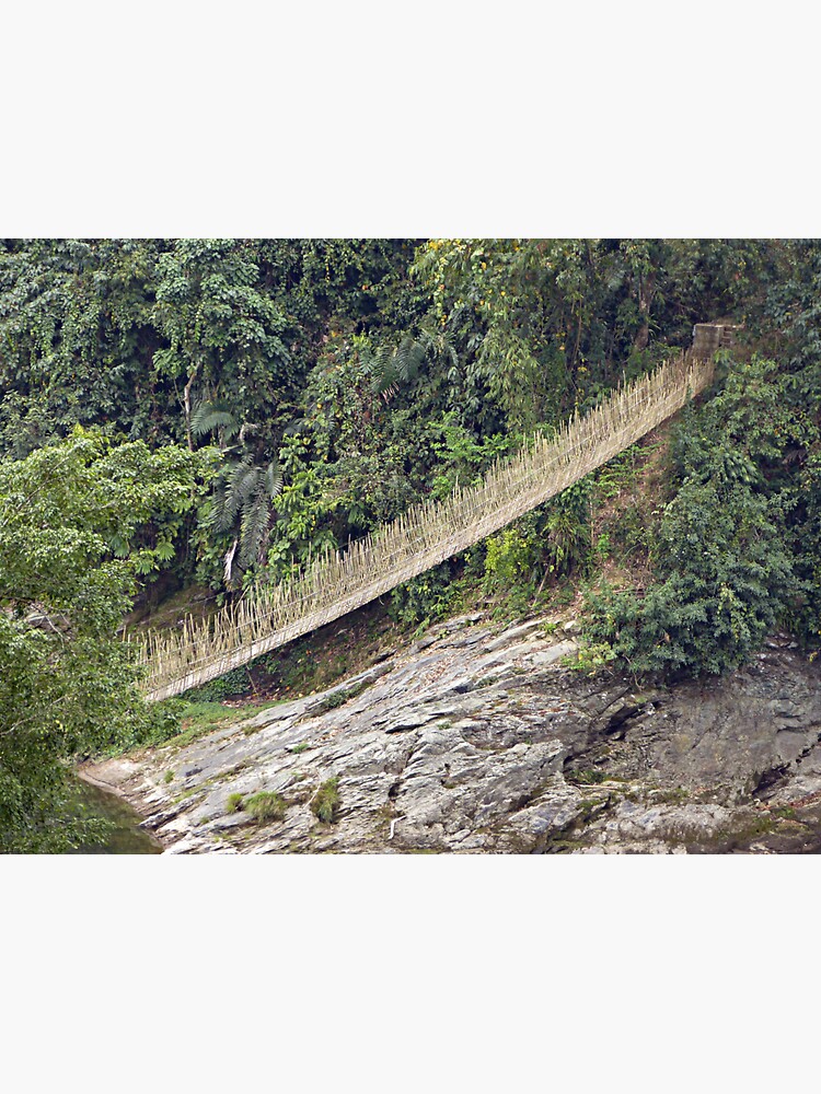 "Bamboo Suspension Bridge In The Jungle, Arunachal Pradesh, India ...