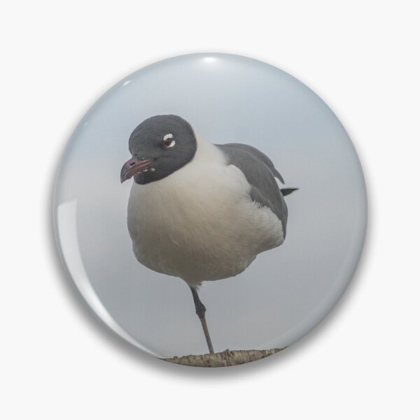 Item preview, One-legged laughing Gull designed and sold by KensLensDesigns.