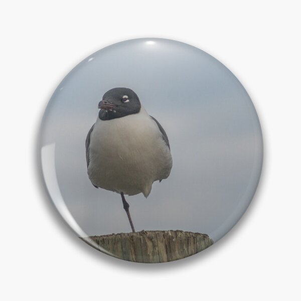Item preview, one-legged laughing Gull designed and sold by KensLensDesigns.