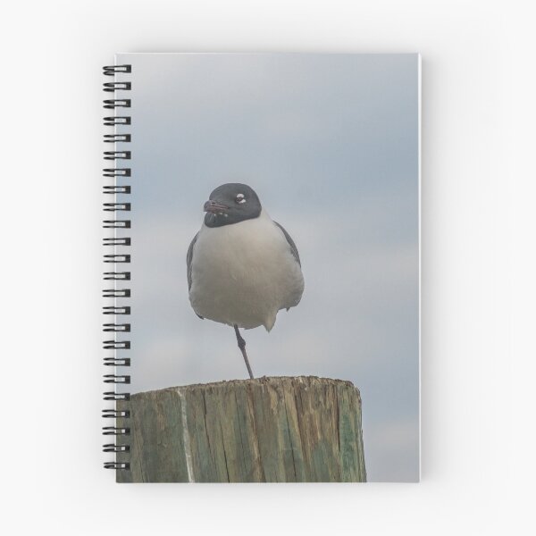 Item preview, one-legged laughing Gull designed and sold by KensLensDesigns.