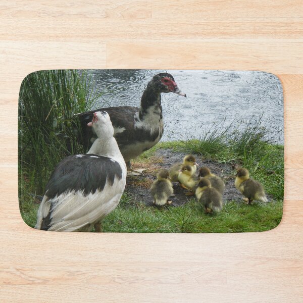 Item preview, Muscovy Ducks with Ducklings designed and sold by imphavok.