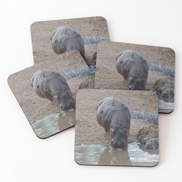 Item preview, Hippo and Red-Billed Oxpeckers designed and sold by Yair Karelic.