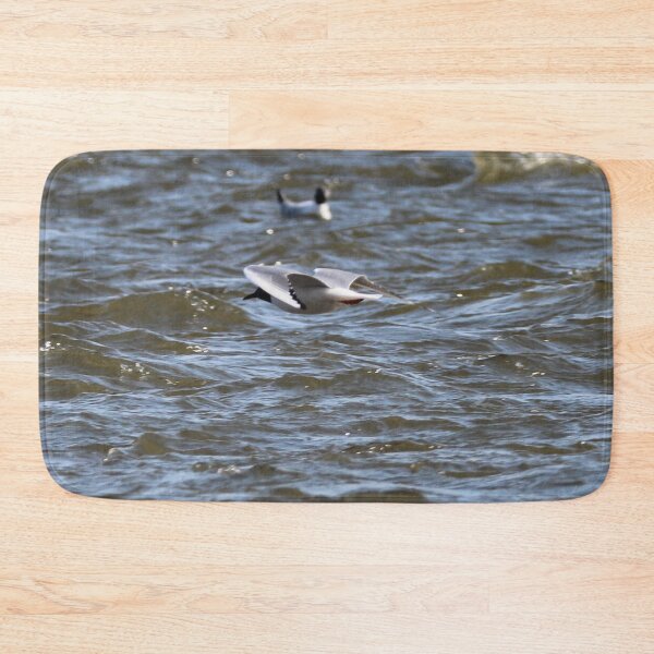 Item preview, Bonaparte Gull Four designed and sold by Susie Kramer.