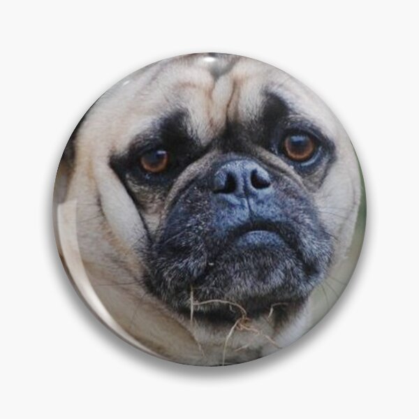 Item preview, Pug Dog designed and sold by imphavok.