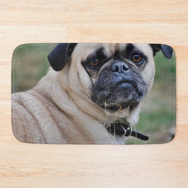 Item preview, Pug Dog designed and sold by imphavok.