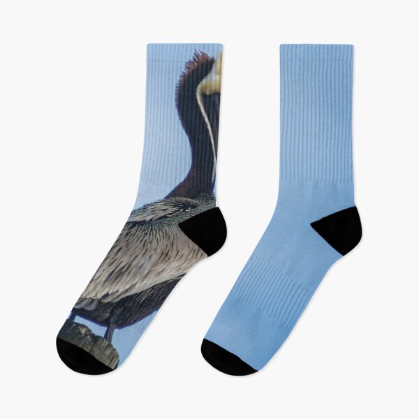 Item preview, Carolina Pelican designed and sold by KensLensDesigns.