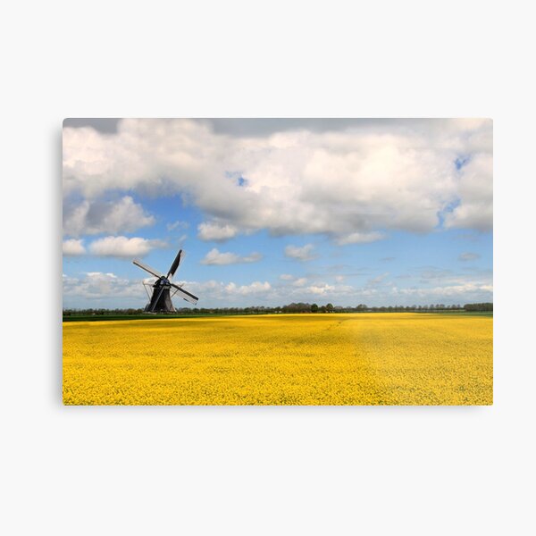 Mill Zeldenrust Groningen Metal Print
