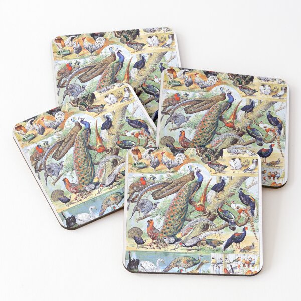 Item preview, Adolphe Millot - Oiseaux C - French vintage poster designed and sold by DejaVuStudio.