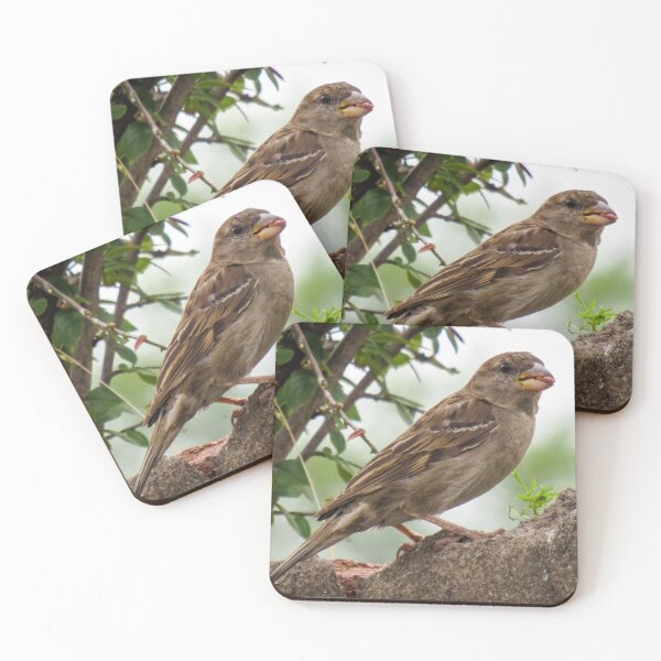 Item preview, Mrs House Sparrow designed and sold by Tiggs-designs.
