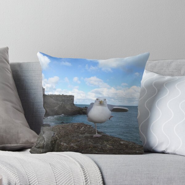 Item preview, Posing Seagull  designed and sold by BerylBez.