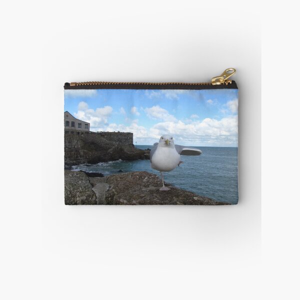 Item preview, Posing Seagull  designed and sold by BerylBez.