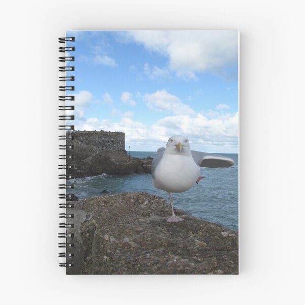 Item preview, Posing Seagull  designed and sold by BerylBez.