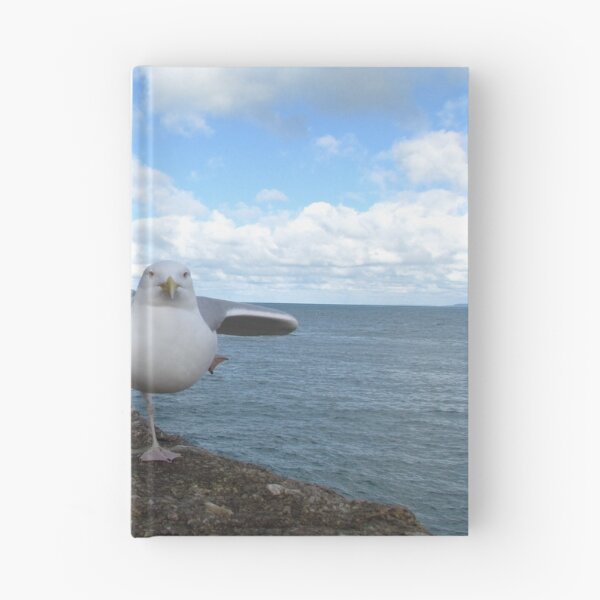 Item preview, Posing Seagull  designed and sold by BerylBez.