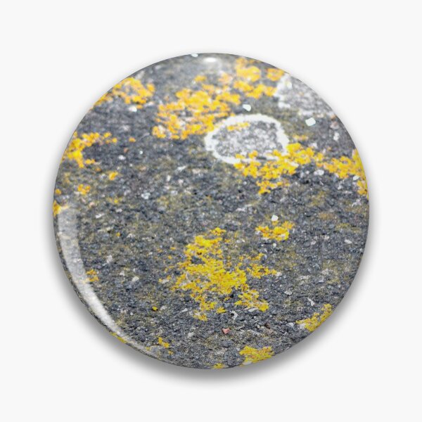 Item preview, Pavement lychen texture designed and sold by chihuahuashower.