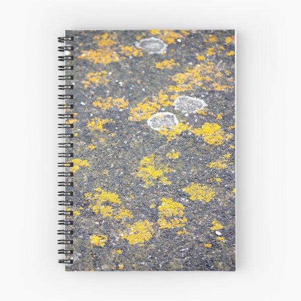Item preview, Pavement lychen texture designed and sold by chihuahuashower.