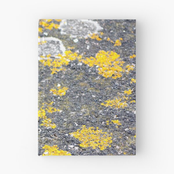 Item preview, Pavement lychen texture designed and sold by chihuahuashower.