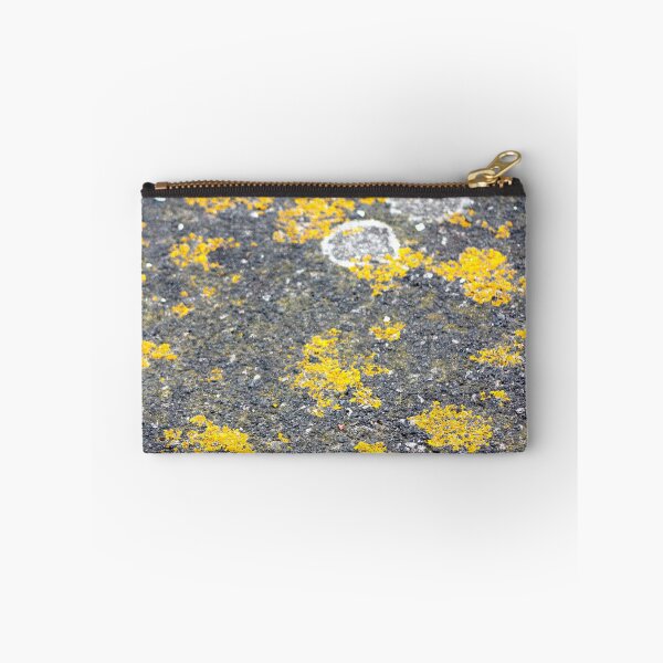 Item preview, Pavement lychen texture designed and sold by chihuahuashower.