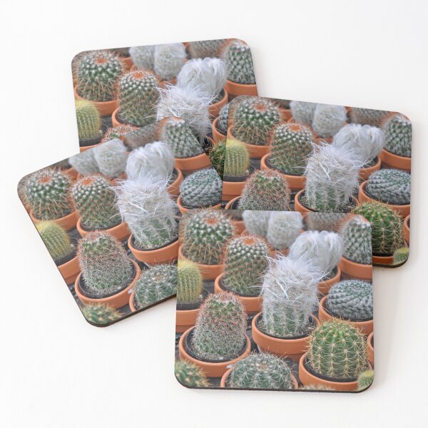Item preview, Cute little cactus plants designed and sold by perlphoto.