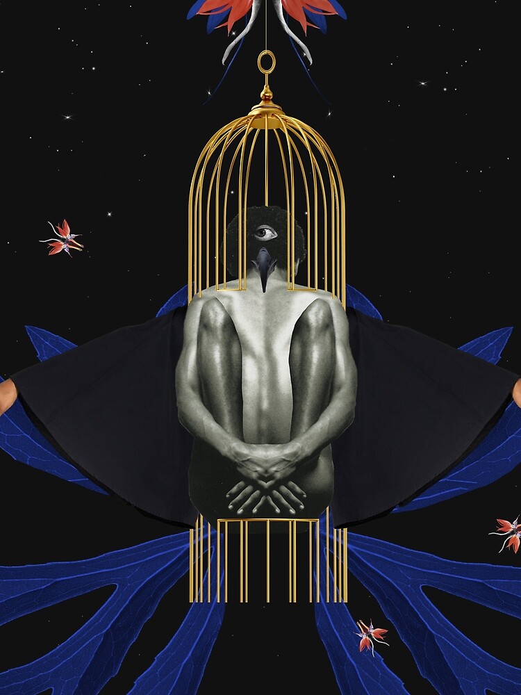 Blackbird - Freedom, Independence, Bird, Fly by ilariaantolini