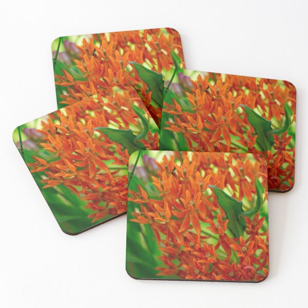 Item preview, Butterfly weed designed and sold by Joshua  Satterlee.