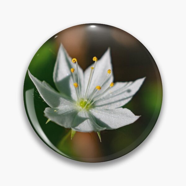 Item preview, Star flower  designed and sold by Joshua  Satterlee.