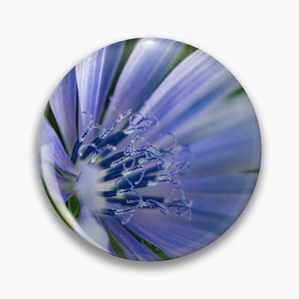 Item preview, Wild Chicory  designed and sold by Joshua  Satterlee.