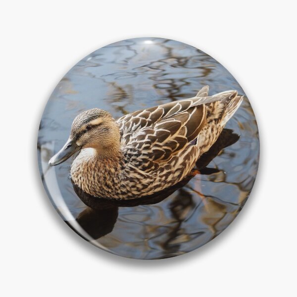 Item preview, Floating Duck designed and sold by PhotoPhoto.