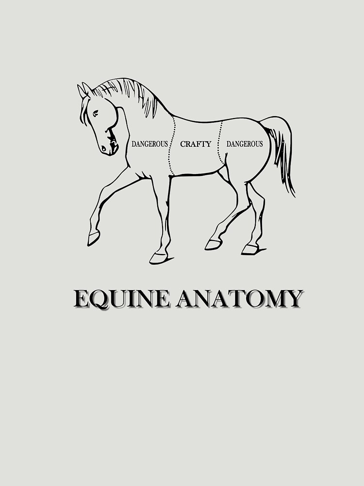 "Equine Anatomy" Tshirt by dgoring Redbubble