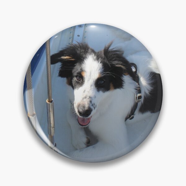 Item preview, Australian Shepherd Skipper Resting on Port Side Deck designed and sold by banditandkoko.