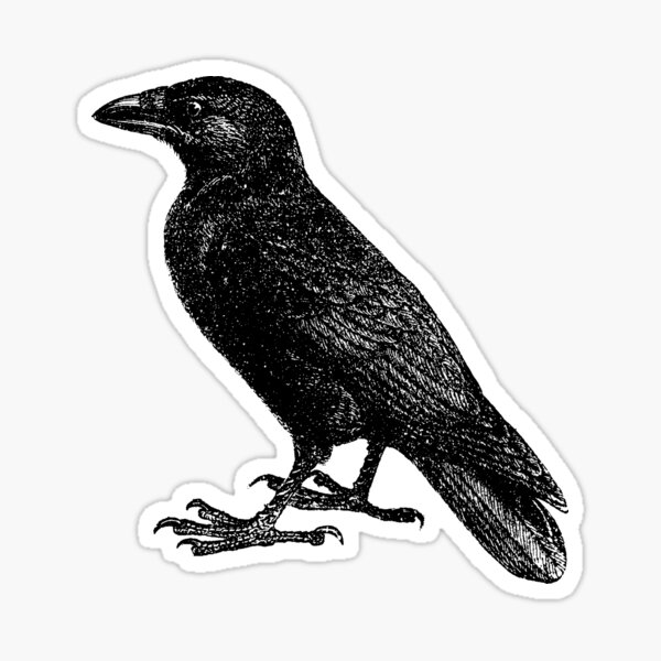 Item preview, Vintage Crow  designed and sold by TheNewAntique.