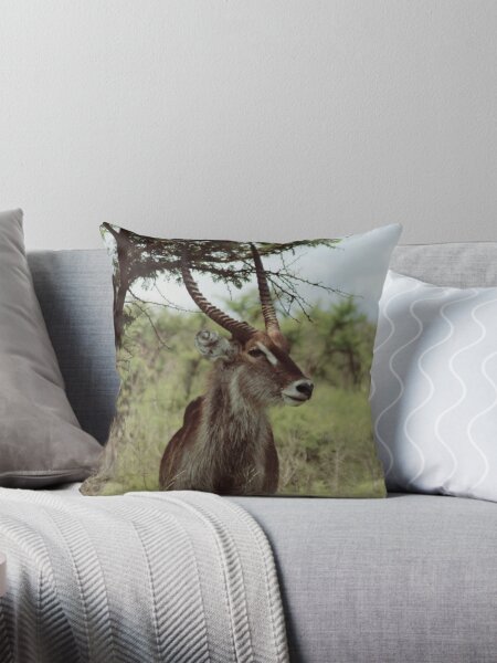Item preview, Waterbuck-African Antelope designed and sold by Keep-It-Wild.
