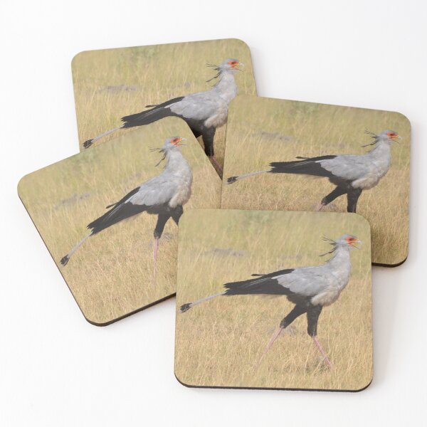 Item preview, Secretary Bird in the Okavango designed and sold by MinkMaguari.