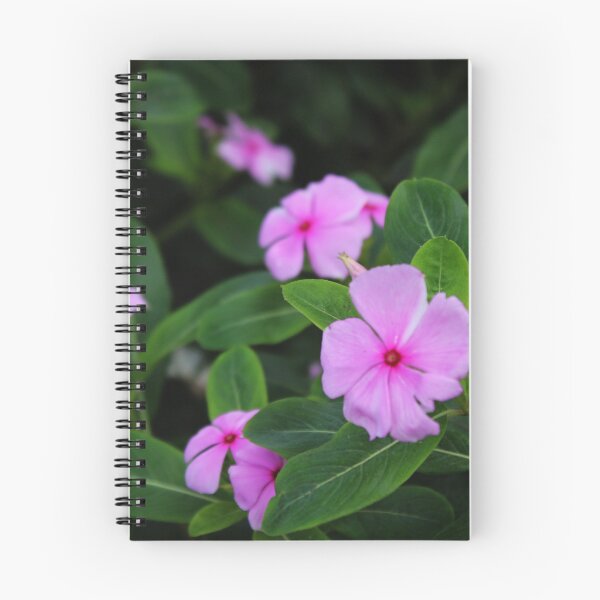 Item preview, Flowers designed and sold by Sérgio Rodrigues Garcez Filho.