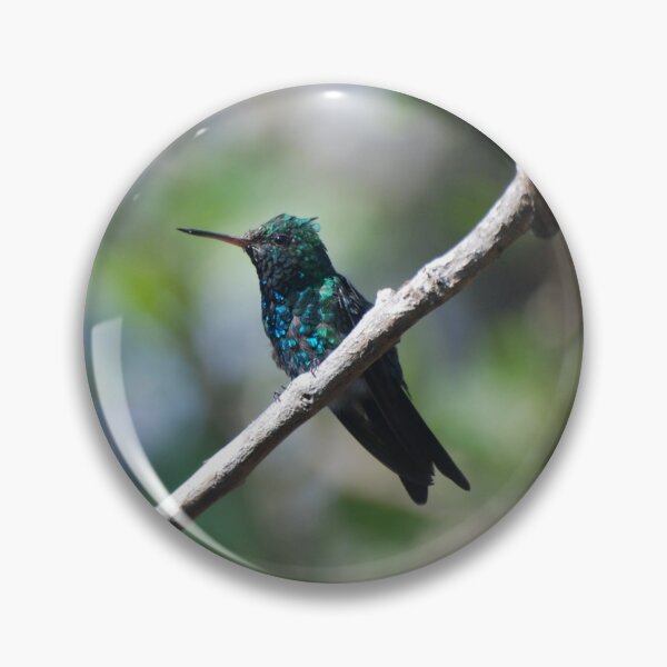 Item preview, Canivet's Emerald Hummingbird in Monteverde designed and sold by MinkMaguari.