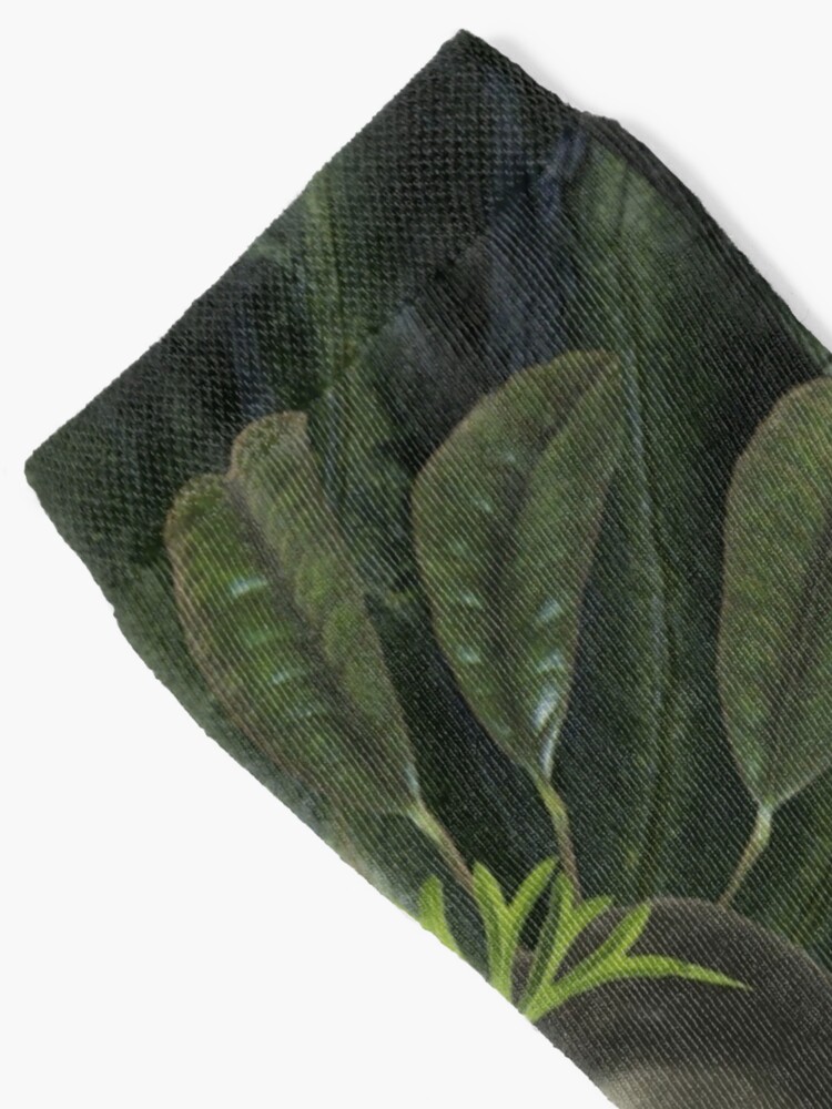 Alternate view of Virgin Mary - Woman, religious, faith, queen, birth Socks
